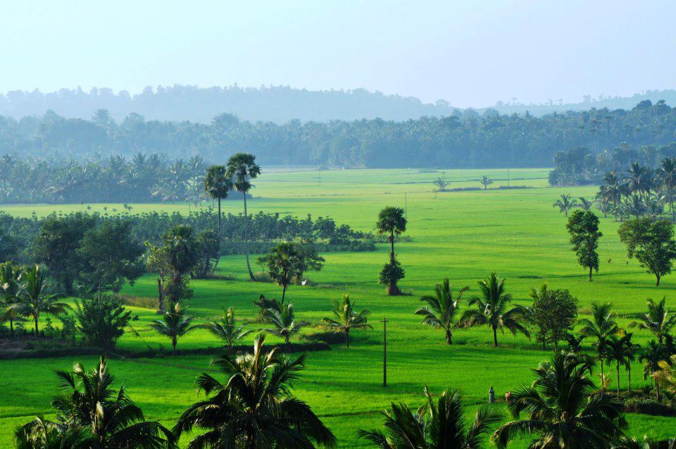 Download this Beauty Kerala Palakkad picture