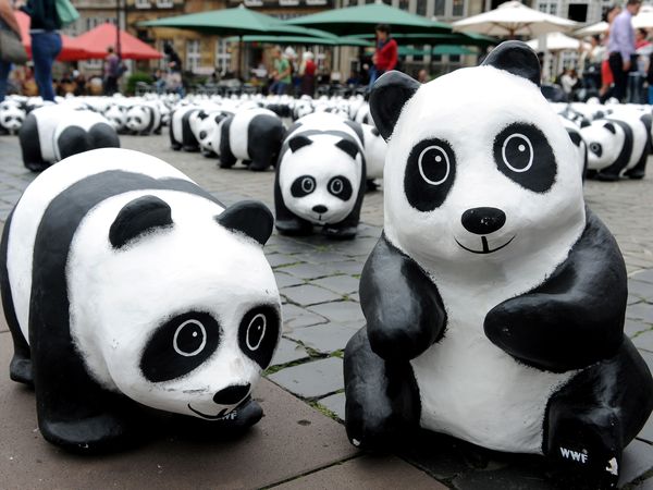 1,600 WWF's Paper mâché pandas representing today's Giant Panda population