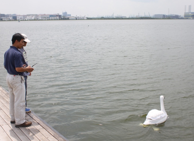Robot swans patrol Singapore’s reservoirs, hunting pollution. PHOTO: CoExist
